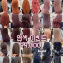 헤어더블리 바이무드 주안점