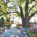 하촌어린이공원 이미지