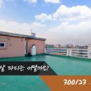 서구-02-51 이미지