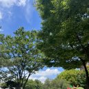 서낭당근린공원 이미지