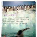 자운영유치원 | [서평]연두자연관찰 - 펭귄과무당벌레를 아빠가 읽고..
