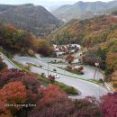 속리산 말티재와 단풍 구경해 보세요 /포토 이미지