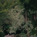 정스테이 이미지