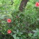 서당공원 화장실 이미지