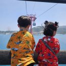 기타(플라스틱칩) | 나트랑 롯데마트에서 꼭 구매해야되는 필수 여행 기념품 (베트남 쇼핑리스트 2탄)