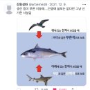 곱씹어서 생각하기 좋은 소소한 트윗글 모음4.twt 이미지