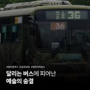 (유)대원시내버스 | [Re:巴] 달리는 버스에 피어난 예술의 숨결 - 대원시내버스 금호36번 뉴슈퍼에어로시티
