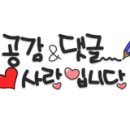 해성카 이미지