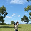 하늘꽃한의원 | 경북 경산 가볼만한곳 대구 근교 아이랑 경북 여행 코스