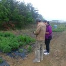 왕림경로당 이미지