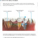 이화치과 - 광양시 칠성로 51 | 이화치과