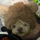 소양강휴게소 | [강원도 인제] 러빙네이쳐 캠핑장 예약 후기 레트로스 허브쉘터 인제 맛집 소양강 뷰맛집 ✨