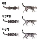 서초M동물의료센터 이미지