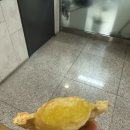 커피. 조(coffee. Jo)