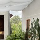 폴개우영 이미지