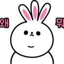 나주댁이운영하는평창생고기 - 의정부시 금오로 32 | 나주댁이운영하는평창생고기