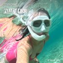 11545-03-24-13 | 인천공항 고프로 대여 가격 고프로13 렌탈 택배 발리 후기