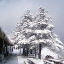산인-9 이미지