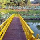 파주눌노리체험캠핑장 이미지