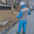큰솔조경나무병원 이미지