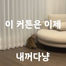 e편한아이사랑어린이집 | e편한세상신곡파크프라임아파트 ! 전동 커튼 후기, 고양이까지 반했어요!