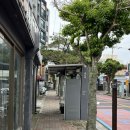 조천약국 | [제주]제주조천숙소,제주 감성 가득한 제주독채숙소에서 1주년,원모어피스
