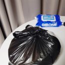 돼지네회센타 이미지