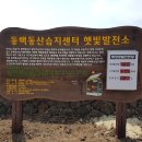 동백 태양광발전소 이미지