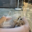밸류온피트니스 이미지