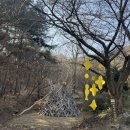 전북도립미술관 이미지