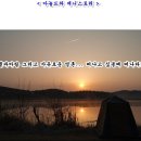 붕어부부