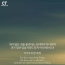 도다