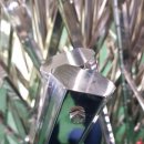 명주초등학교 이미지