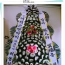 하동1길 이미지