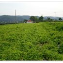 11500-13-50-13 이미지