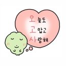 붕어가커피를만나다 | 251013 - 251026