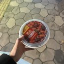 지영상회 | 디펜스의 계절.. 방어로 물들여진 12월 첫번째 일상🐟