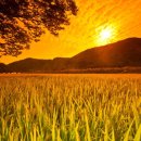 매직세탁 이미지