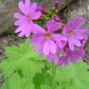 청한농장 이미지