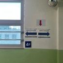 31140-8-49-4 | 비전공자의 데이터 분석 스터디_제49회 ADsP 자격증 시험 난이도 합격 후기 및 기출 문제 복기