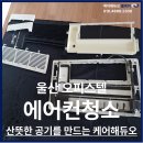 케어해듀오 이미지