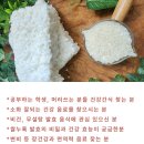 은가비송 이미지