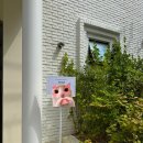 소율스튜디오 웨딩 촬영 후기 헤어변형 추가