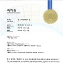 가톨릭대학교 여의도성모병원 네이버블로그