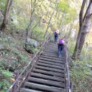 100대 명산 내장산(763m) 등산 후기 (2017. 10. 31.) 이미지