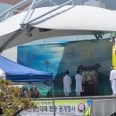 마산성신대제 이미지