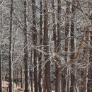 다래산장 이미지