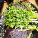 김가네쌈보리밥 이미지