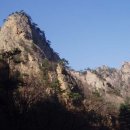 1월 23일 - [토요산행][6시 출발] 설악산~흘림골/낙산, 대포(강원 양양) 예약 이미지