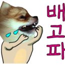 없 음 이미지